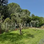 Villa Filao Avec Piscine A Debordement Villa Sorède
